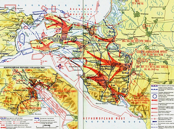 Реферат: Новоросийская операция